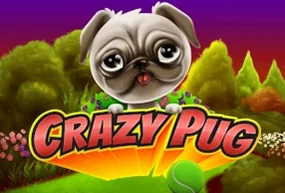 Crazy Pug